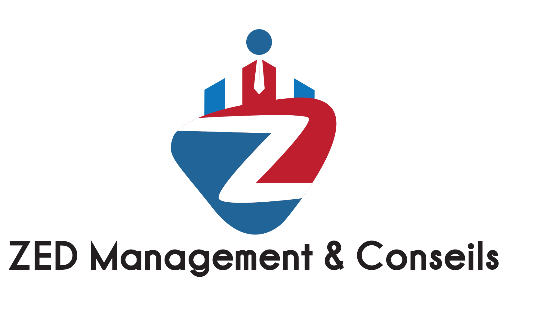 zed management et conseils